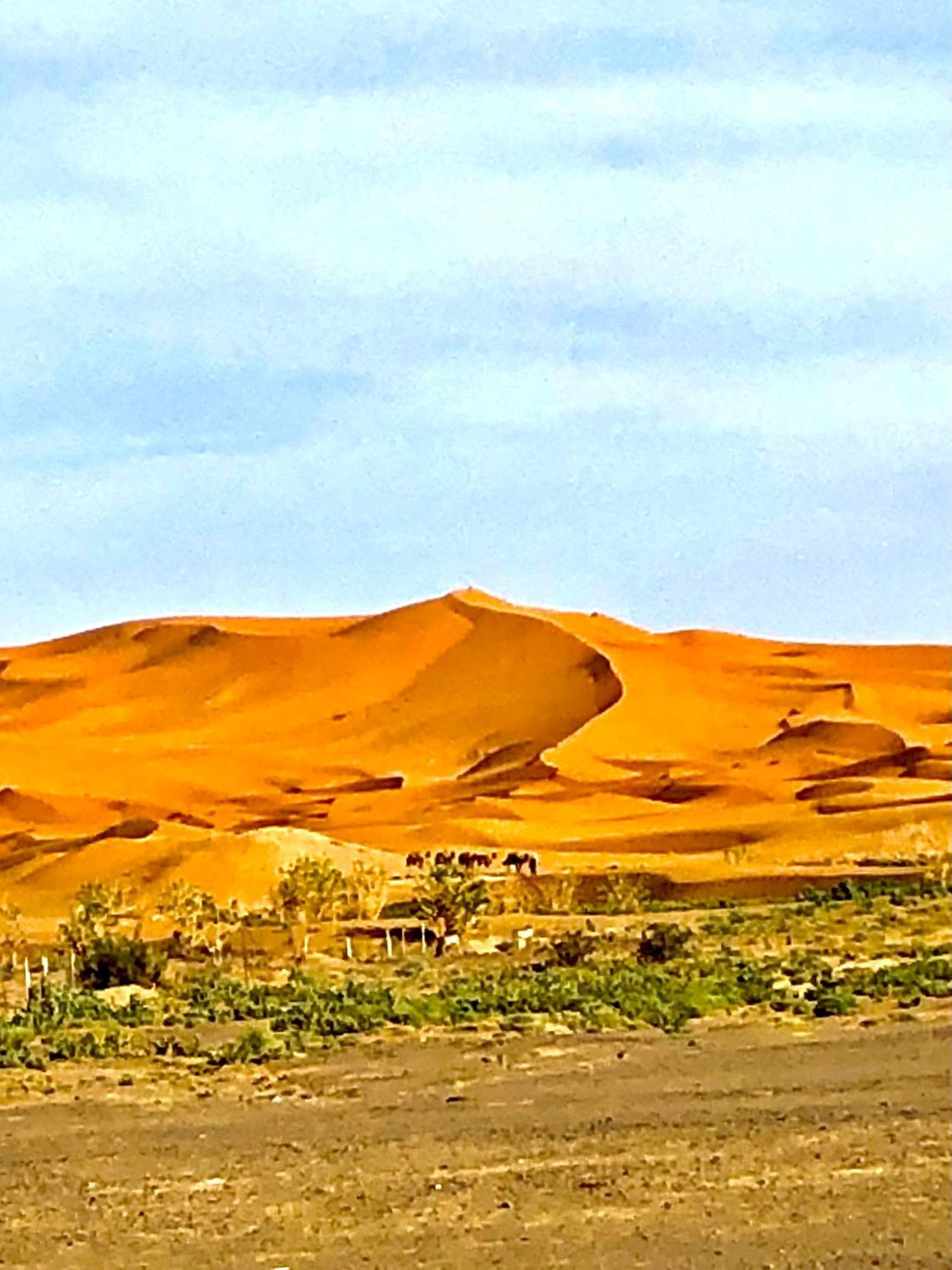 Bivouac La Fibule Des Dunes Merzouga Dış mekan fotoğraf